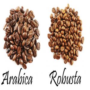 V čem se liší arabika a robusta?