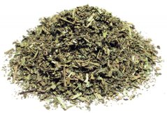 DROMEDARIO | Té Verde Chine Sencha