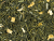 Green Hare Sencha citrom teakeverék [citrom ízű] 75g